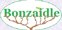 Bonzaidle logo