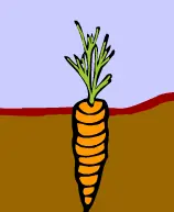Boowa and Kwala's Vegetable Patch logo