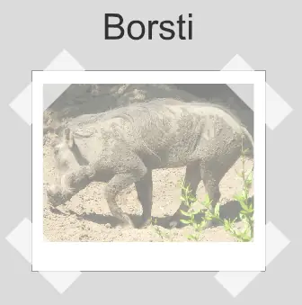 Borsti logo