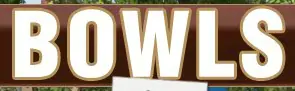 Bowls logo