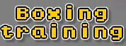 Boxing Training logo