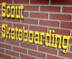 Boys' Life Scout Skateboarding logo