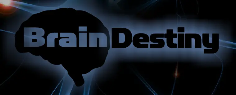 Brain Destiny logo