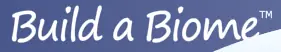 Build a Biome logo