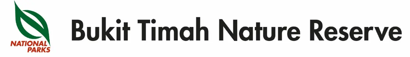 Bukit Timah Nature Reserve: Summit Virtual Reality Image logo