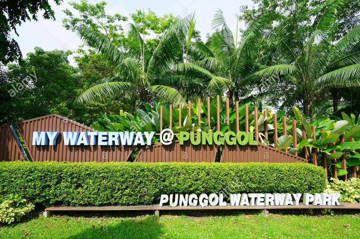 Bush fire near Punggol Waterway Singapore (360 Pano) logo