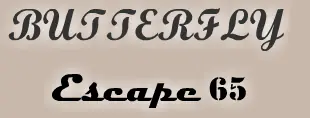 Butterfly Escape 65 logo