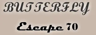 Butterfly Escape 70 logo