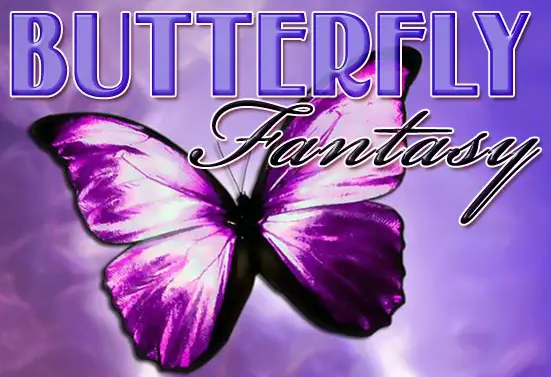 Butterfly Fantasy - Hidden Butterflies logo