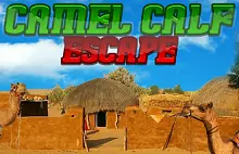 Camel Calf Escape logo