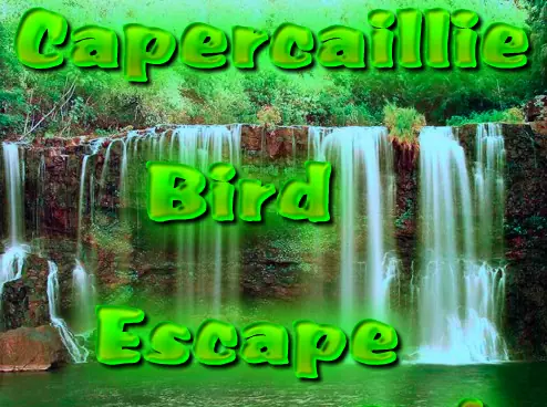 Capercaillie Bird Escape logo