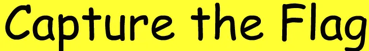 Capture the Flag logo