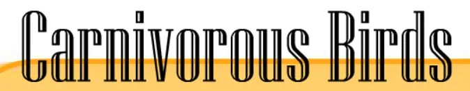 Carnivorous Birds Quiz logo