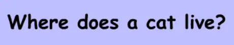 Cat Quiz logo
