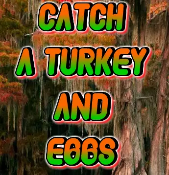Catch a Turkey and Eggs logo