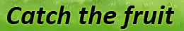 Catch the fruit logo