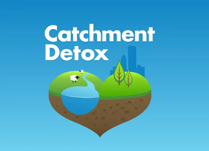 Catchment Detox logo