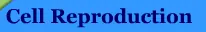 Cell Reproduction logo