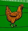 Chicken Hunter logo
