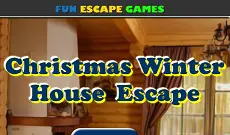 Christmas Winter House Escape logo