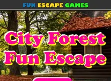 City Forest Fun Escape logo