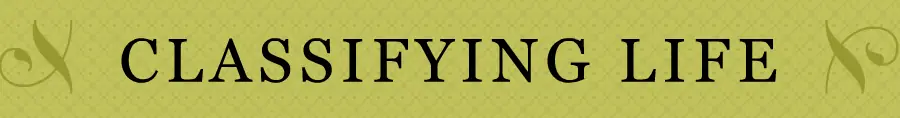 Classifying Life logo