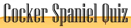 Cocker Spaniel Quiz logo