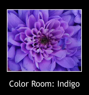 Color Room: Indigo logo
