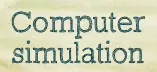 Computer Simulation logo