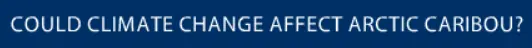 Could Climate Change Affect Arctic Caribou? logo