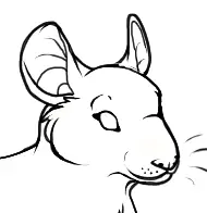 Create a Rat logo