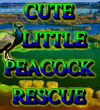 Cute Little Peacock Rescue logo