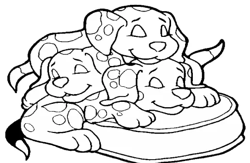 Dalmatian Brothers Coloring Game logo