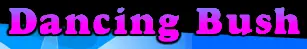 Dancing Bush logo