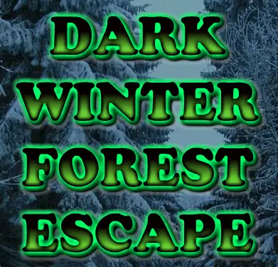 Dark Winter Forest Escape logo