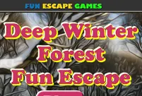 Deep Winter Forest Fun Escape logo