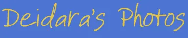 Deidara's Photos logo