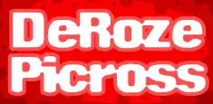 DeRoze Picross logo