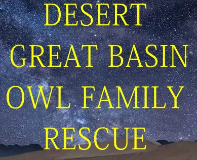 Desert Great Basin Owl family Rescue logo
