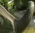 Differences in Dino Land logo