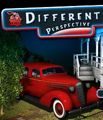 Different Perspective logo