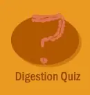 Digestion Quiz logo