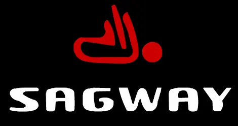 Disorderly - Sagway logo
