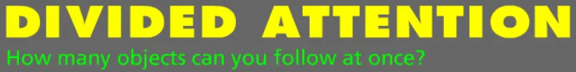 Divided Attention logo