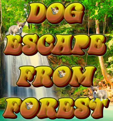 Dog Escape From Forest logo