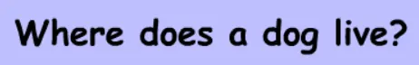 Dog Quiz logo