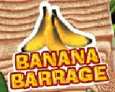 Donkey Kong: Banana Barrage logo