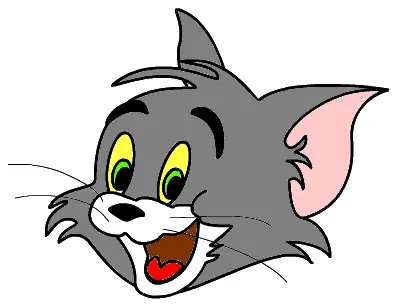 Dot To Dot Tom logo