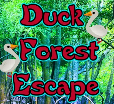 Duck Forest Escape logo