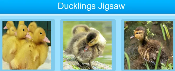 Ducklings Jigsaw logo